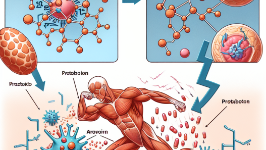 Comment Proviron aide à lutter contre le catabolisme