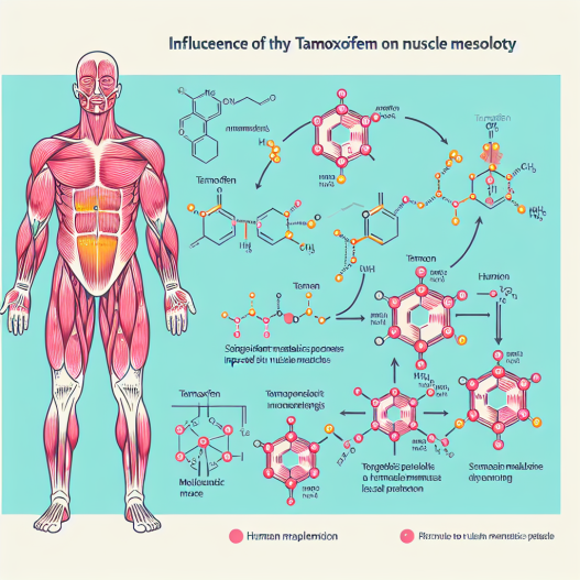 Influence du tamoxifène sur le métabolisme musculaire