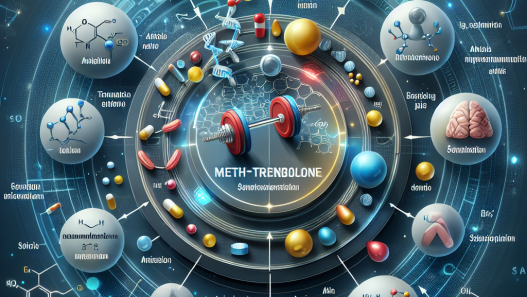 Méthyltrenbolone et son rôle dans la régulation de la synthèse des acides aminés
